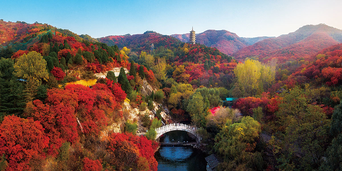 旅遊開發