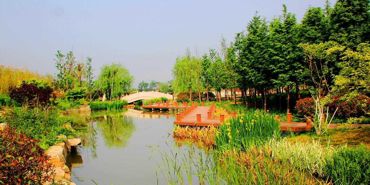 景觀苗圃
