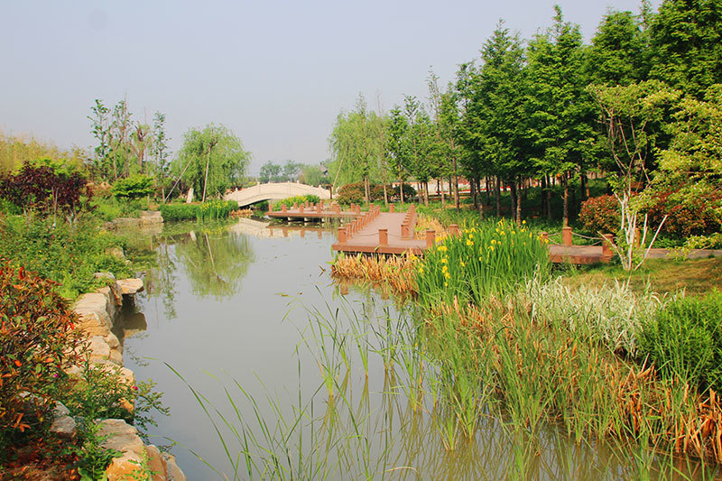 景觀苗圃